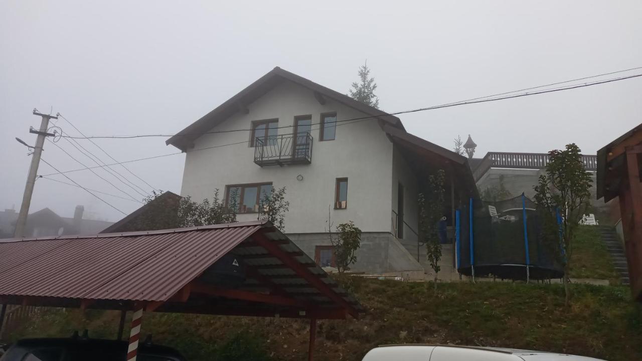 Біля Лісу Шале З Двома Спальнями Slavske Luaran gambar
